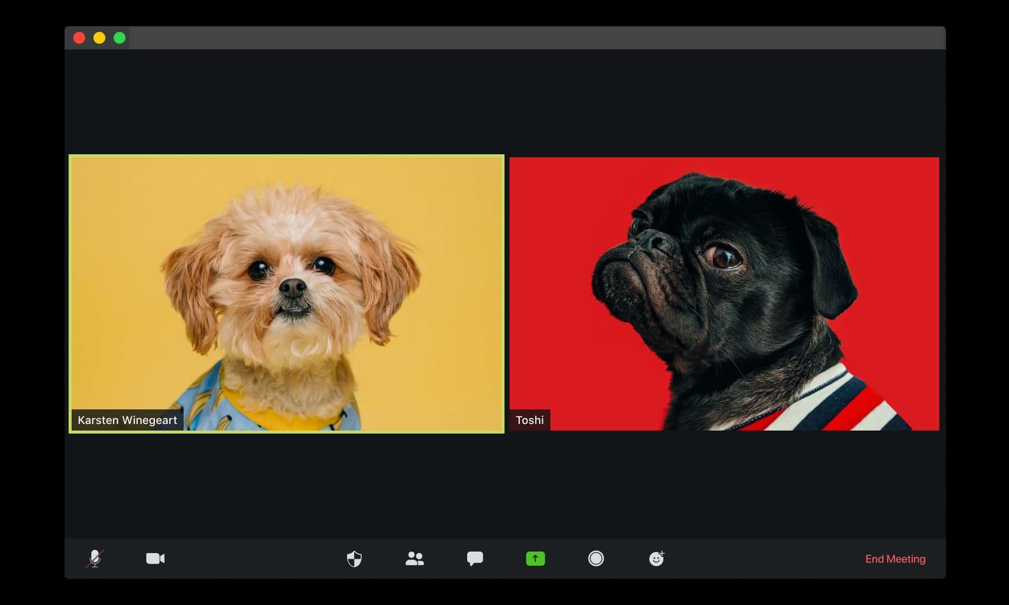 video conferencing - teams vs zoom